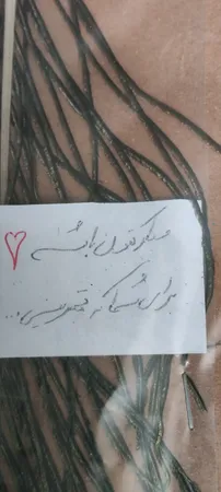 آویز تزیینی مدل طاووس کد 002 مجموعه 2 عددی