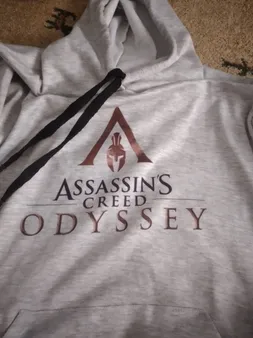 هودی مردانه طرح Assassins کد S436 رنگ طوسی