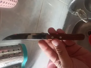 تجریه خرید کارد میوه خوری ترامونتینا کد tr01