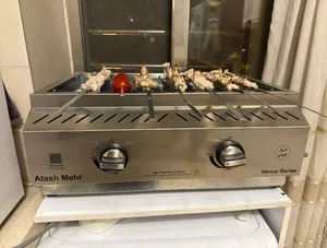 تجریه خرید کباب پز گازی آتش‌مهر مدل steel60