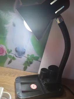 چراغ مطالعه بوستانچی مدل DL-105