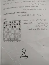 تجریه خرید کتاب مایزلیس، تئوری بنیادی شطرنج اثر مایزلیس ایلیالوویچ