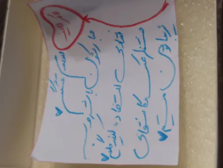 پیرسینگ بینی زنانه کد PS625