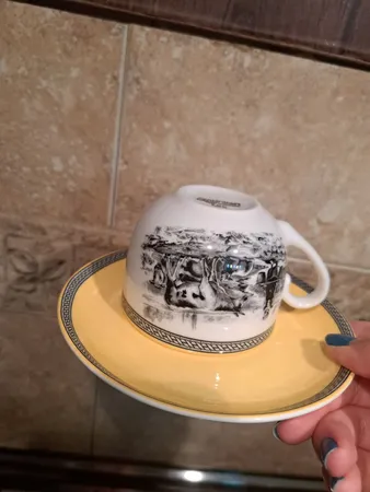 سرويس چای خوری 17 پارچه چينی زرين ايران مدل فلورانس درجه عالی