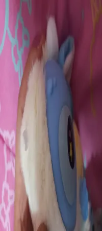 اسباب بازی شانسی مدل استیج