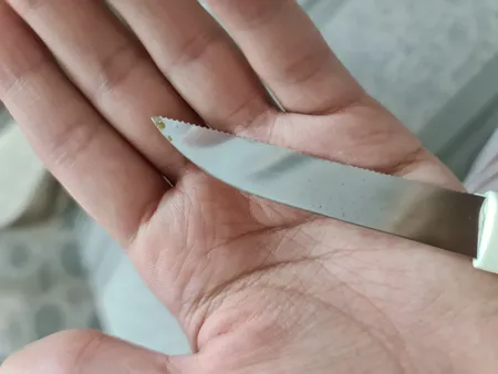 چاقو میوه خوری روک مدل دندانه دار الگانت بسته 6 عددی