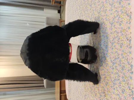 کلاه مدل KHAMAS7756