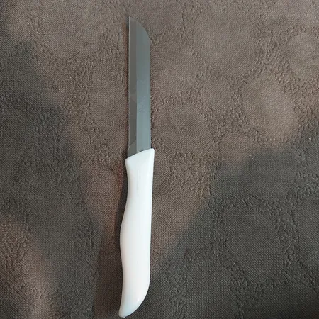 چاقو آشپزخانه فاردینوکس مدل Berlini 01