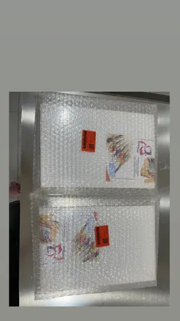 بوم نقاشی جهان بوم مدل TZ-1 سایز 30*20 سانتی متر