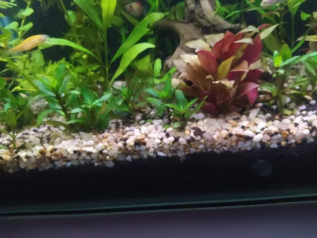 شن تزیینی مدل SA01 وزن 3 کیلوگرم