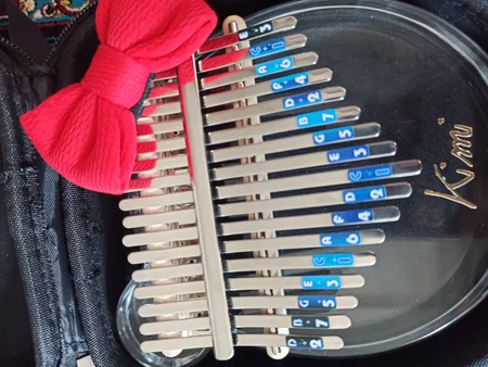 کالیمبا کیمی مدل Bear M-10