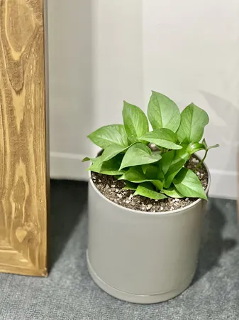 گلدان طرح استوانه مدل 20