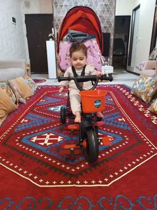 تجریه خرید سه‌چرخه کودک دلیجان مدل 01