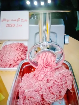 چرخ گوشت پارس خزر مدل Buffalo-2020
