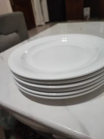 بشقاب غذاخوری چینی زرین ایران سری هتلی 49 کد 25 درجه عالی بسته 6 عددی