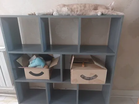 کتابخانه مدل ‌‌pm2010