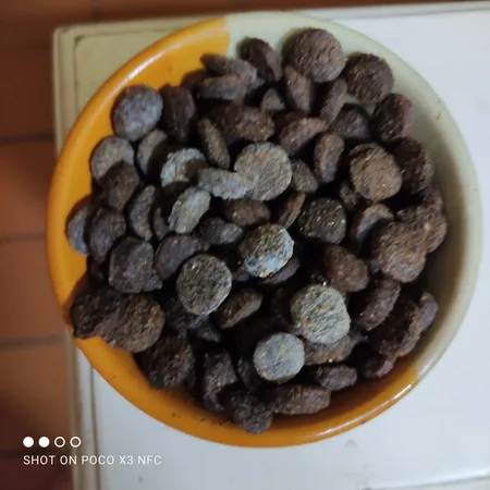 غذای خشک سگ نوتری پت مدل Adult 21 Percent PROBIOTICS وزن 15 کیلوگرم