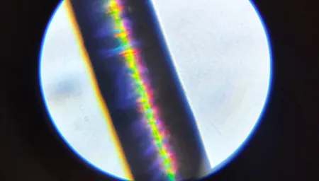 میکروسکوپ آیبکس مدل 1200 Zoombox Vision