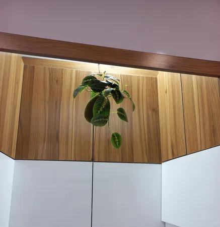 گلدان به همراه درختچه مصنوعی ایکیا مدل FEJKA کد 9964