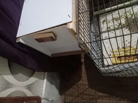 لانه پرنده مدل عروس هلندی درب کشویی طرح چوبی