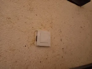 تجریه خرید زنگ دلند مدل آسا