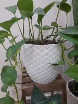 گلدان مدل 25