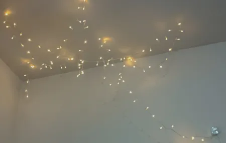 ریسه ال ای دی مدل سوزنی طرح پر طول 10 متری