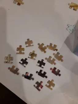 پازل 1000 تکه فاکس مدل دختر گل فروش کد 62332