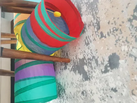 اسباب بازی سگ و گربه مدل تونل سه شاخه حفره