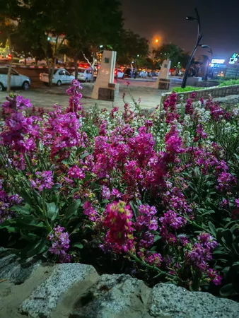 گوشی موبایل آنر مدل 200 دو سیم کارت ظرفیت 256 گیگابایت و رم 12 گیگابایت