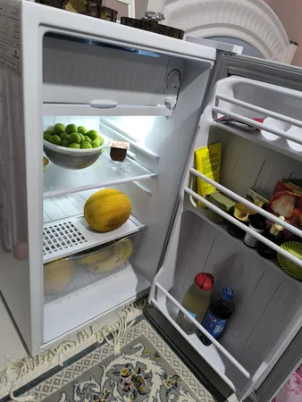 یخچال 5 فوت ایستکول مدل 2835