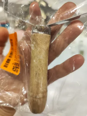 پرزگیر لباس مدل رولی کد 001