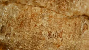 تجریه خرید میکروسکوپ دیجیتال 100X مدل HM020