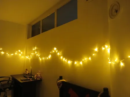 ریسه ال ای دی مدل سوزنی طول 10 متری