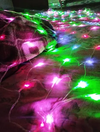 ریسه ال ای دی کد توری 220V