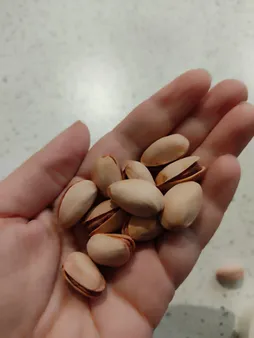 پسته احمدآقایی بوداده پستاکو - 500 گرم