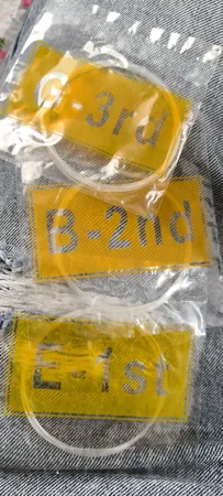 سیم گیتار کلاسیک الیس مدل A106-H