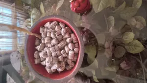 تجریه خرید نقل اطلسی شهد شهر امید-400 گرم