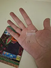 تجریه خرید بذر حسن یوسف میکس پالم کد 15