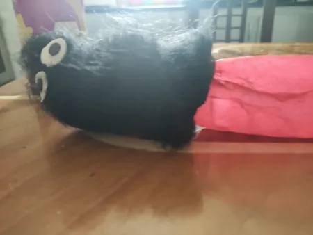 ابزار شوخی طرح چیپس پرشی کد shb43