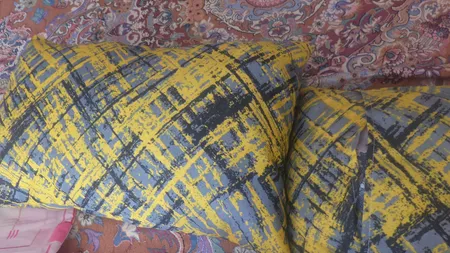 رو بالشی آرین مدل آرت بسته دو عددی