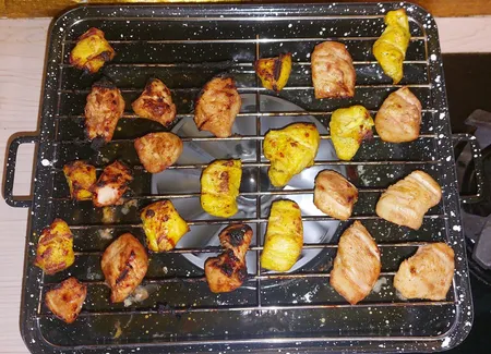 کباب پز روگازی صبا مدل رعنا