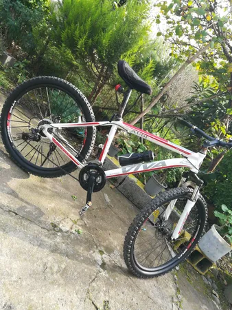 صفحه طبق دوچرخه مدل 48