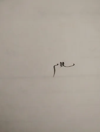 مداد مشکی مدل پاکن دار طرح سه گوش بسته 6 عددی