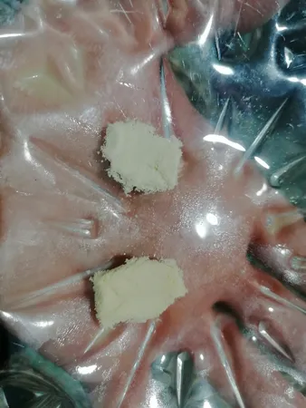 پودر پروتئین وی با طعم وانیل کاله پرو - 650 گرم