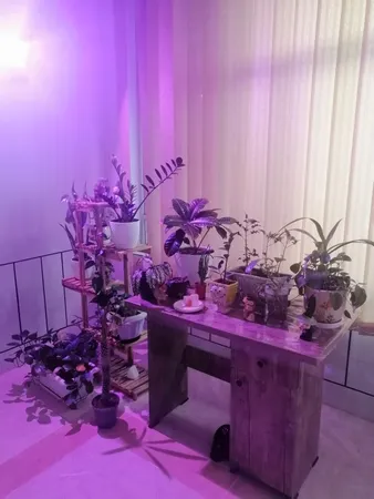 لامپ رشد گیاه 50 وات مدل IP65