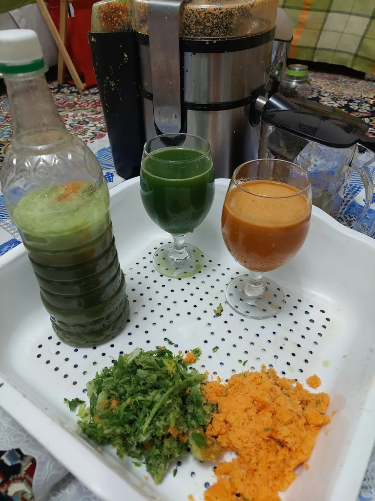 آبمیوه گیری تکنو مدل Te-314