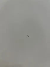 تجریه خرید کنسول اسمردیس مدل B107