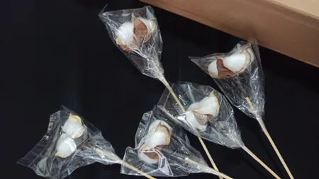 گل خشک مدل شاخه پنبه بسته ی 5 عددی