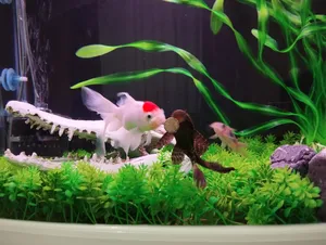 تجریه خرید غذای ماهی امروز کد T103 بسته 120 عددی